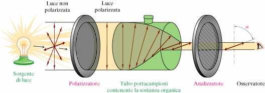 luce. Una lente Polaroid è attraversata solo dalle onde che oscillano nel piano parallelo