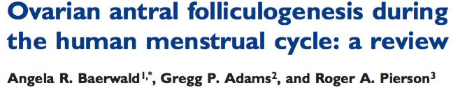 Theory of multiple follicular waves: durante il ciclo mestruale sono reclutate 2-3 onde, suggerendo che la crescita dei