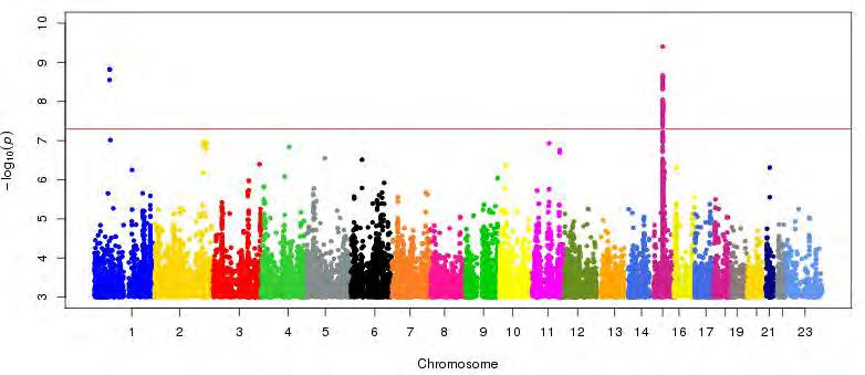 Genome wide association studies (GWAS) Esame di un numero altissimo di SNPs (fino a 4.