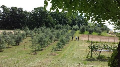 Valorizzazione del territorio e del patrimonio locale in un'ottica di sostenibilità ambientale Rafforzamento della rete tra le