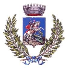 REGIONE AUTONOMA FRIULI VENEZIA GIULIA Provincia di Udine COMUNE SAN GIORGIO DI NOGARO PIANO PARTICOLAREGGIATO DI INIZIATIVA PRIVATA VARIANTE NON SOSTANZIALE DEL PAC (EX PRPC) DI INIZ.