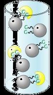 oligonucleotide/oligo complementare