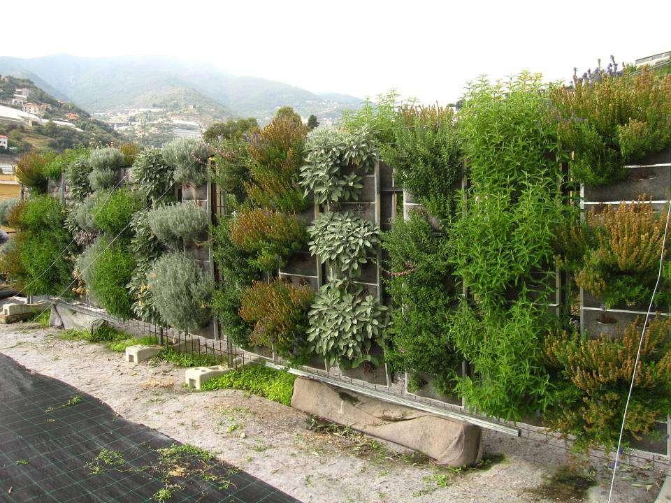 SANREMO, muro