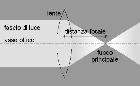 Microscopio ottico: formazione dell immagine Lenti convergenti Centri di curvatura: centri delle superfici sferiche da cui proviene la lente Asse ottico: retta che unisce I due centri di curvature