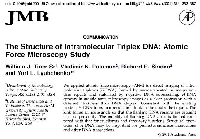 di DNA+DNA a singolo filamento in un tratto di DNA di sequenza ripetuta (GAA) 42 (TTC) 42.
