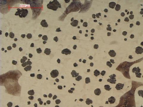 Analisi metallografica MICROSCOPIO OTTICO a b c Ghisa ferritica Ghisa