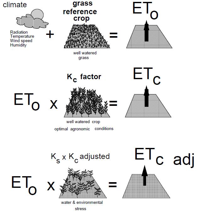 MODELLO DI EVAPOTRASPIRAZIONE Equazione FAO Penman - Montieth Reference Potential Evapotranspiration