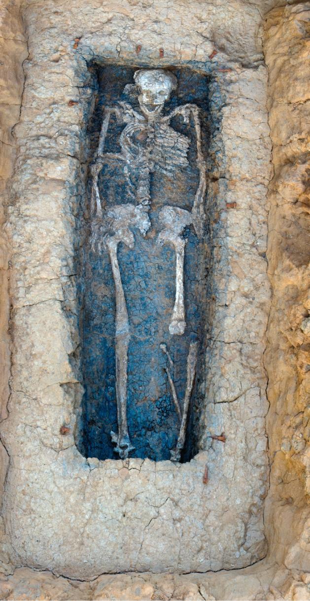 Fig. 23. La tomba XI con lo scheletro, rimanenze della cassa di legno e chiodi di ferro. be (Tombe IV-V) 8. La ricerca del 2007 ha portato il totale finora scoperto ad almeno 15 tombe (Tombe VI-XV) 9.