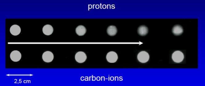 Protoni vs 12 C Non c e una scelta migliore in assoluto: ( se si esclude il fatto che una facility per soli protoni e meno costosa..).