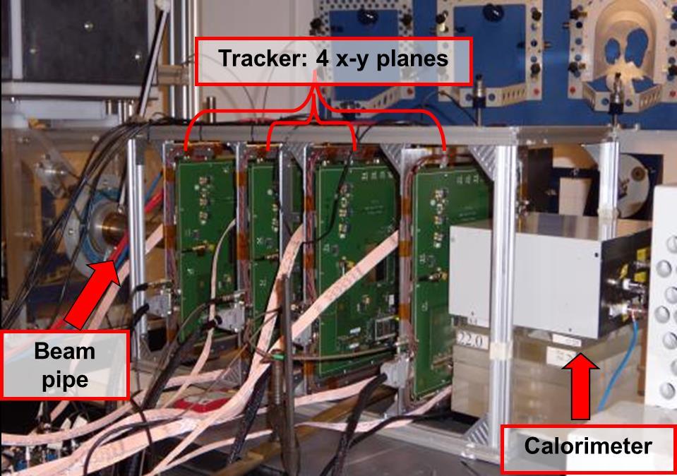 tracking x-y con silicon microstrip Calorimetro a cristallo Yag:Ce