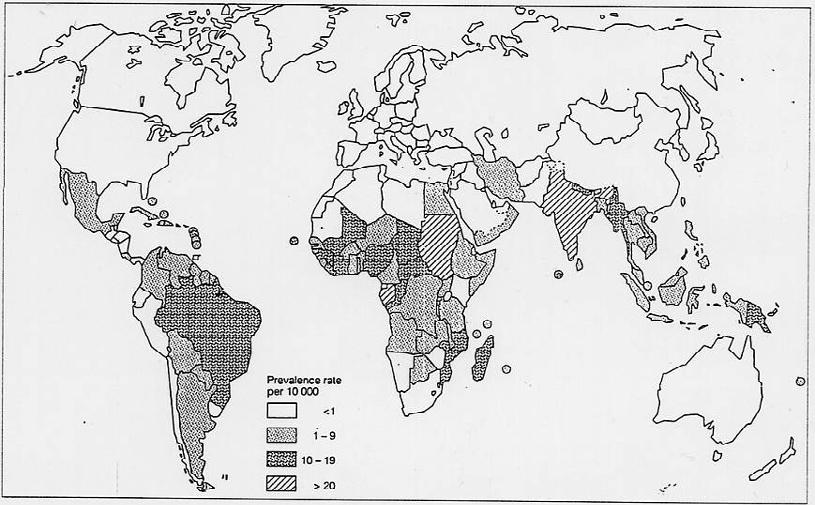 Distribuzione della lebbra nel 2005: - malattia infettiva