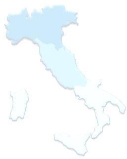 Le opportunità offerte dalla CNESC ai giovani in Italia per regione e area geografica regione numero volontari PIEMONTE 1.