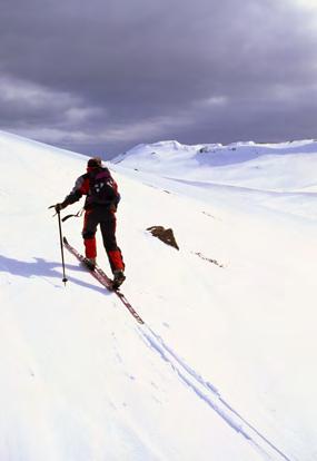 Consigli per lo sci di fondo e lo sci alpinismo Preparate la
