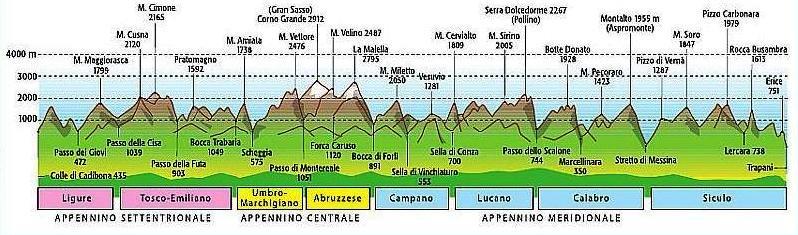 suddivisioni Grafico della sezione degli