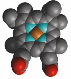 Gli atomi di azoto coordinati (elettron donatori) impediscono la conversione del ferro nello stato