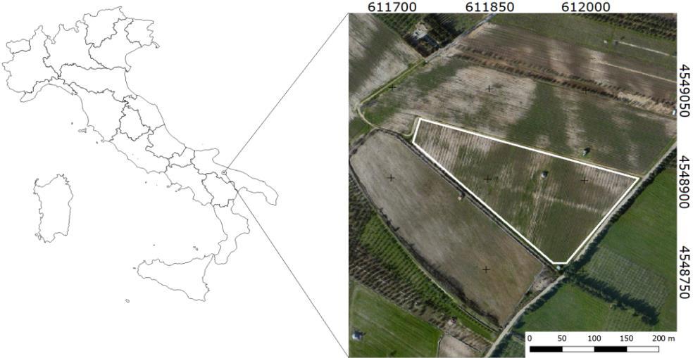 Un caso studio per provare a rispondere: un vigneto di Moscato Reale 29 scene da maggio 2013 a gennaio 2016 Sensore: Landsat 8