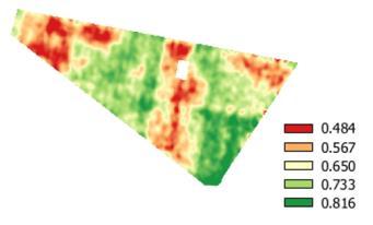 Mappe di Vigore Aereo Vs Satellite Dati Aerei Giugno 2013 Giugno 2013 Dati Satellitari Mappe