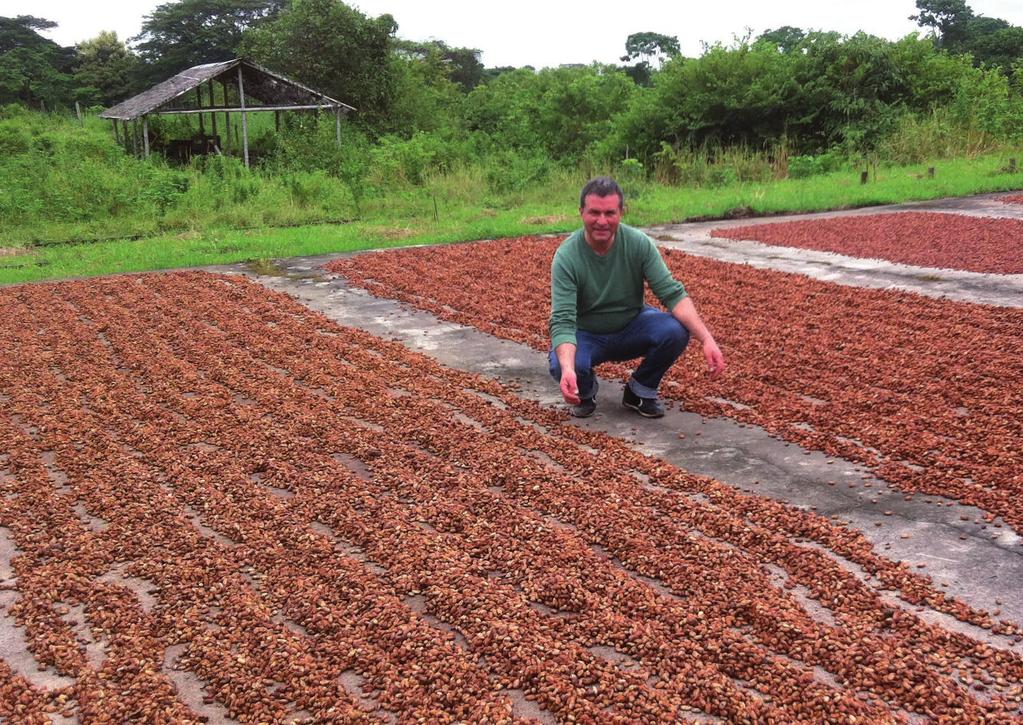 Alfonso Pepe in un campo di fave di