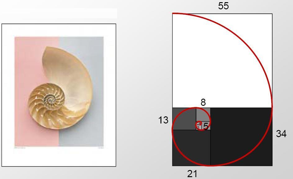 CS Introduzione alla PROGRAMMAZIONE DINAMICA I numeri di Fibonacci sono definiti in maniera ricorsiva: F(0)=1,