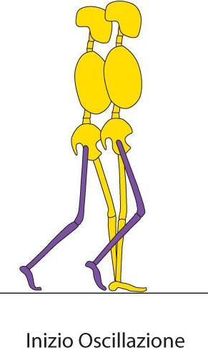 dorsale (attivazione dei muscoli pretibiali) per evitare urti con il suolo durante l oscillazione. L altra gamba, nel frattempo, è nella fase di medio carico (Fig. 3.