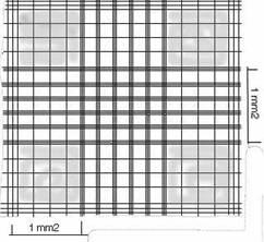diluito) contenuta entro la camera permette di determinare la concentrazione delle cellule, generalmente