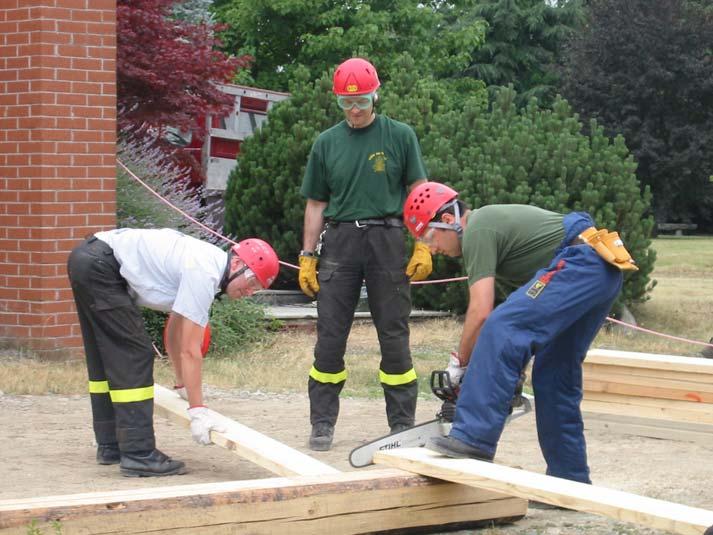 e taglio degli elementi in legno