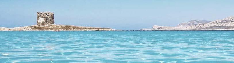 Vacanze in barca a vela Sardegna-Asinara Salite a bordo per delle fantastiche vacanze in barca a vela all Asinara, isola meravigliosa che vede fondersi una costa suggestiva con l entroterra ricco di