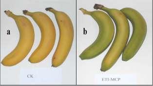 Le banane sono trattate con etilene (20-200 µl/l per 24 h) prima di essere immesse sul mercato.