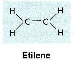 L etilene è un ormone gassoso L etilene è il più semplice degli alcheni con molecola planare. A temperatura e pressione ambiente, è un gas più leggero dell aria, infiammabile e facilmente ossidabile.