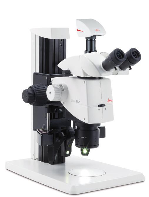 Con n tbo HDF o HDV è possibile collegare le fotocamere Leica MC170 HD e MC190 HD a qesti microscopi. Leica M125 Lo stereomicroscopio modlare Leica M125 offre no zoom 12.