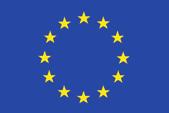 UNIONE EUROPEA FONDO SOCIALE EUROPEO IMPRESA DONNA SVILUPPO E CONSOLIDAMENTO AZIONI