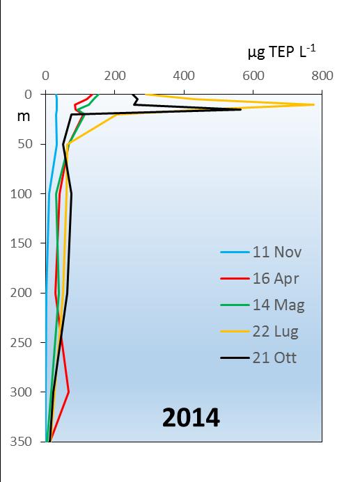 In conclusione, si può dire che il TEP nel Lago Maggiore è una frazione importante del TOC, che può arrivare anche al 56% della concentrazione di carbonio organico totale.