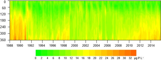 il fosforo si sta progressivamente accumulando nelle acque profonde. Una situazione simile si era presentata a fine anni 90, interrotta poi dalla completa circolazione dell inverno 1998-99.