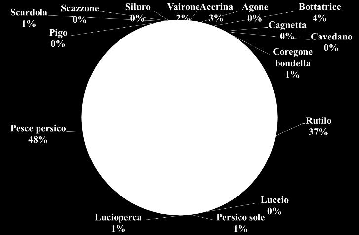 specie al catturato nelle reti bentiche nell area