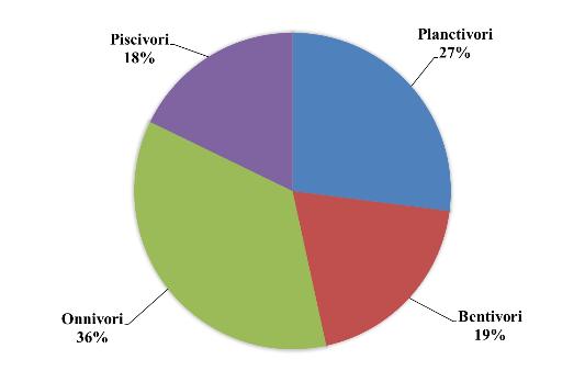 categoria trofica degli onnivori dominano in numero (Fig. 17.5) e in biomassa (Fig.17.6). I planctivori invece sono nettamente dominanti sia in numero (Fig. 17.7) che in biomassa (Fig. 17.8) nelle reti pelagiche.