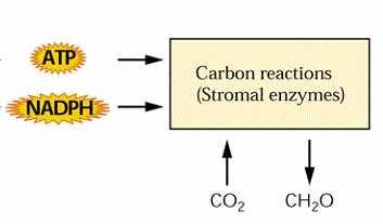 captazione energia della luce