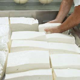 alla mozzarella di bufala, leccornia preziosa e ricercata della tradizione