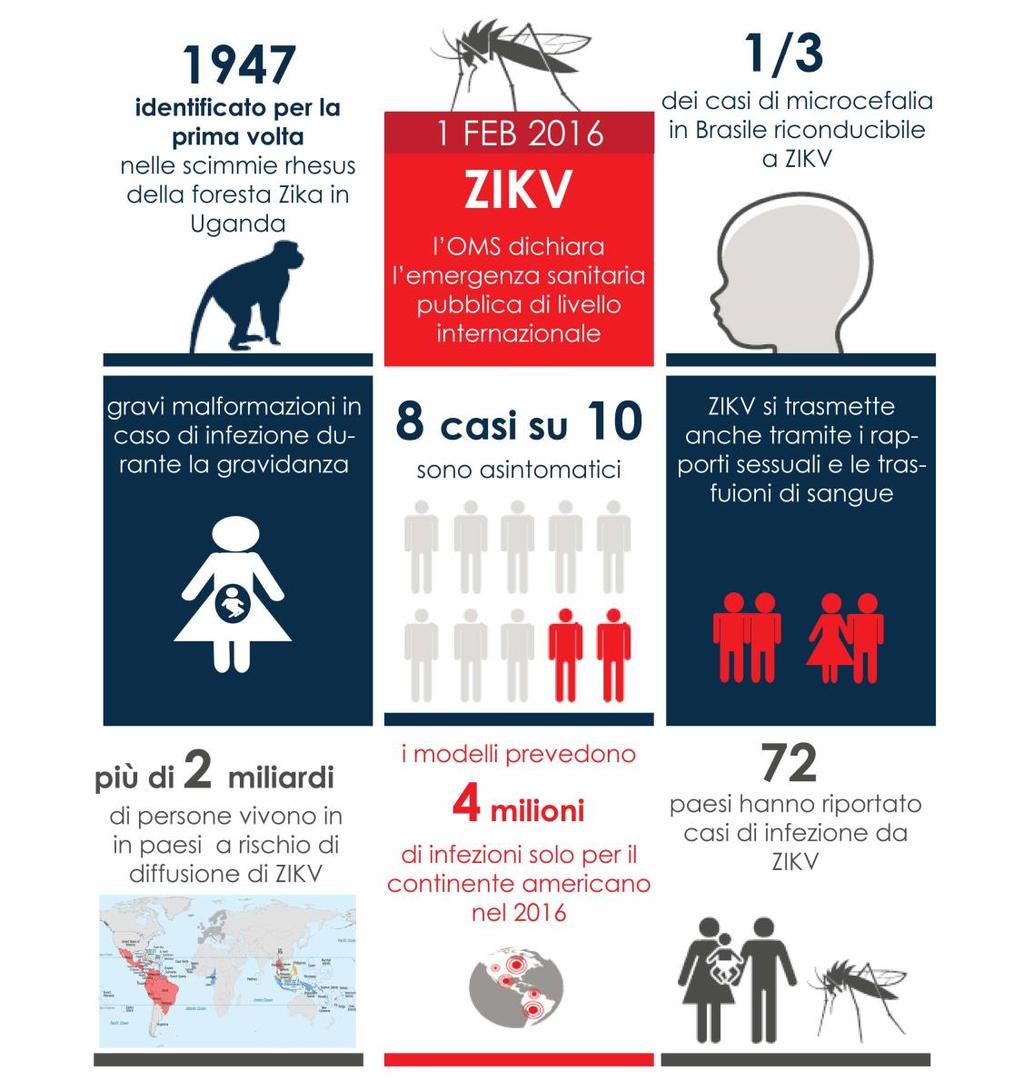 Il virus Zika una minaccia non solo in Brasile