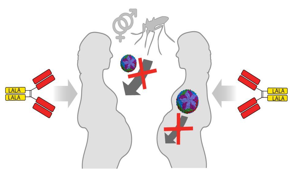 ZKA190 un anticorpo in grado di annientare il virus Zika Ricerca in collaborazione con l IRB iniziata a fine febbraio 2016, pubblicata su Science il 14 luglio 2016.