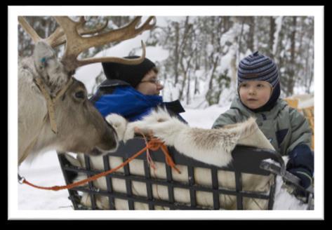 2 giorno Rovaniemi - Fattoria delle Renne e Safari con gli Husky Colazione in hotel e visita ad un allevamento di renne, dove si apprenderanno tante nozioni sulla vita di questi animali simbolo dei