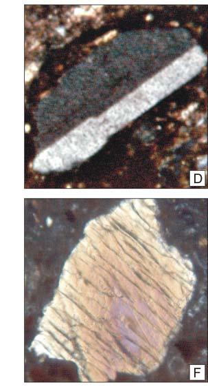 atterizzazione compositiva XRF MO feldspati pirosseni Intensita` (u.a.) microxrd E Q+C+E E E Q CC