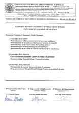 VERNICIATURA CERTIFICATA Secondo a Norma Din 55900-1, -2 IGE Institut für GebäudeEnergetik Nr. / No.: H.0806.I.524.