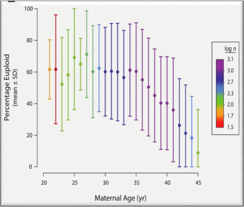 age relationship in