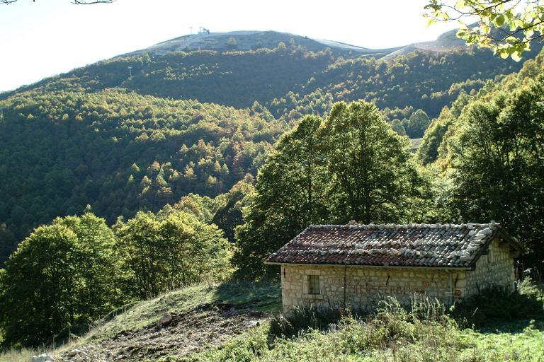 Lo Stazzo Lo stazzo, in dialetto jacce, è il luogo dove si tengono le pecore e