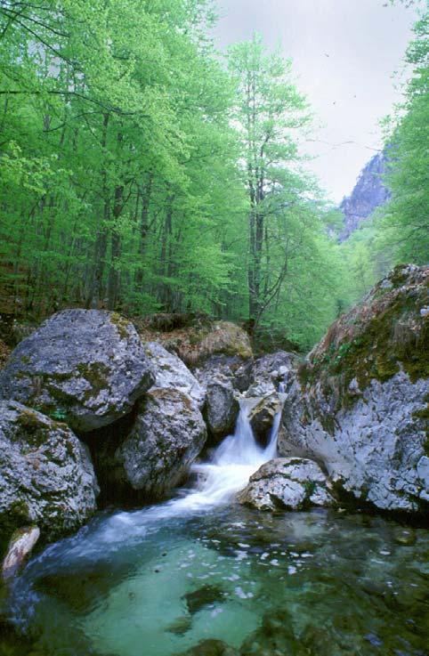 L ambiente naturale Il territorio del Parco Nazionale d Abruzzo, Lazio e Molise è costituito principalmente da un insieme di catene montuose la cui altezza varia da 900 a 2200 m sul