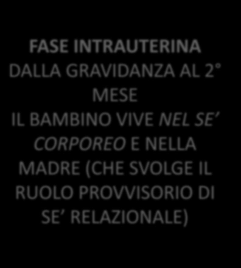 LE DUE FASI DEL PERIODO EMBRIONALE FASE INTRAUTERINA DALLA GRAVIDANZA AL 2 MESE IL BAMBINO VIVE NEL SE