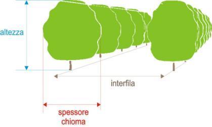 Volume: calcolo in base alle dimensioni della vegetazione metodo TRV (Tree Row Volume) Volume