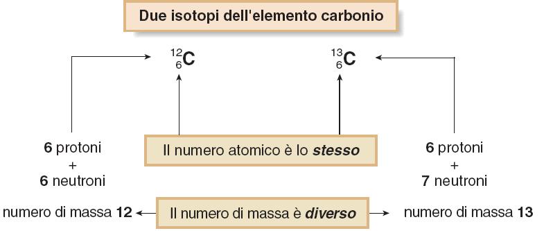 Ancora sull atomo Media pesata della massa degli