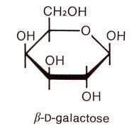 β-galactosidase + H Following the β-galactosidase Reaction.