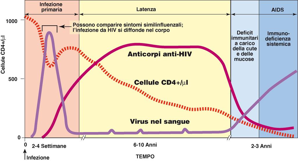 L uso delle strategie di regolazione